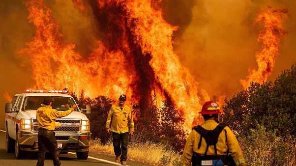 Firefighters fight the blaze in Lake County, California Firefighters fight the blaze in Lake County, California