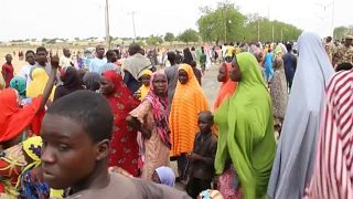 Amnesty: 1100 killed in northern Nigeria