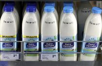 Avustralya'da satışa sunulan süt ürünleri
