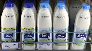 Avustralya'da satışa sunulan süt ürünleri