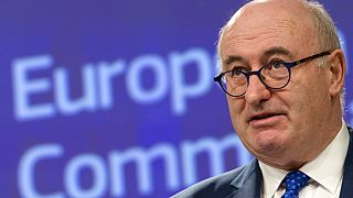 European Commissioner for Agriculture Phil Hogan speaks during a media conference at EU headquarters in Brussels, Monday, April 8, 2019.