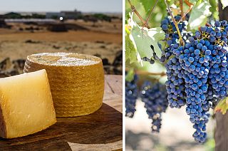 Spain is the EU country with the largest number of acres dedicated to organic farming.