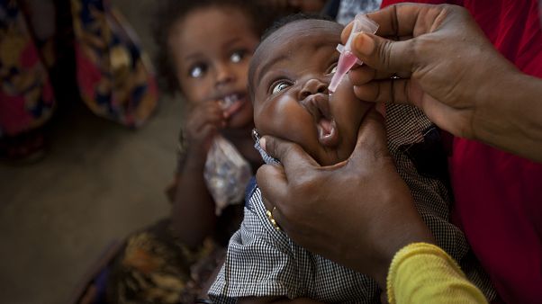 África: Transmissão do poliovírus interrompida em 47 países África: Transmissão do poliovírus interrompida em 47 países