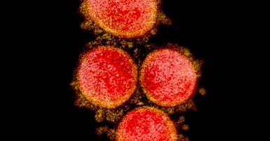 COVID-19 tests are key to stop the pandemic: How do they work? and ...
