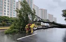 O τυφώνας Μπάβι πλήττει την Χερσόνησο της Κορέας