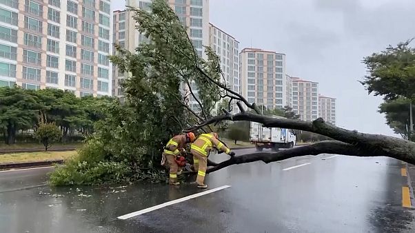 O τυφώνας Μπάβι πλήττει την Χερσόνησο της Κορέας O τυφώνας Μπάβι πλήττει την Χερσόνησο της Κορέας