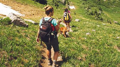 Young people are less likely to spot environmental changes. Young people are less likely to spot environmental changes.