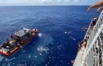  حمله کوسه به ۴۰ خدمه شناور گارد ساحلی آمریکا در اقیانوس آرام