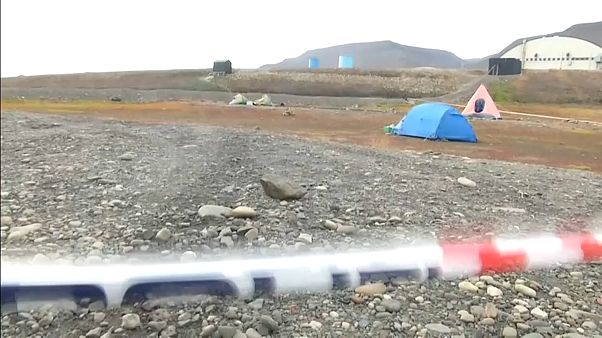 Norvège : un ours polaire attaque un camping et tue un homme Norvège : un ours polaire attaque un camping et tue un homme