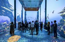 Musée Océanographique de Monaco