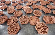 The 3D printed tiles have intricate patterns that mimic brain corals.