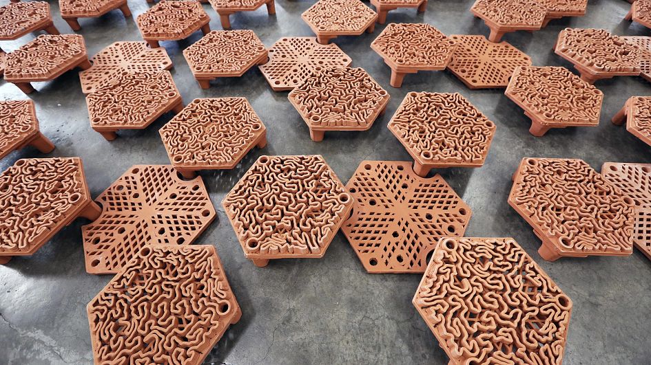 3D printing is helping to rebuild Hong Kong’s precious coral reefs