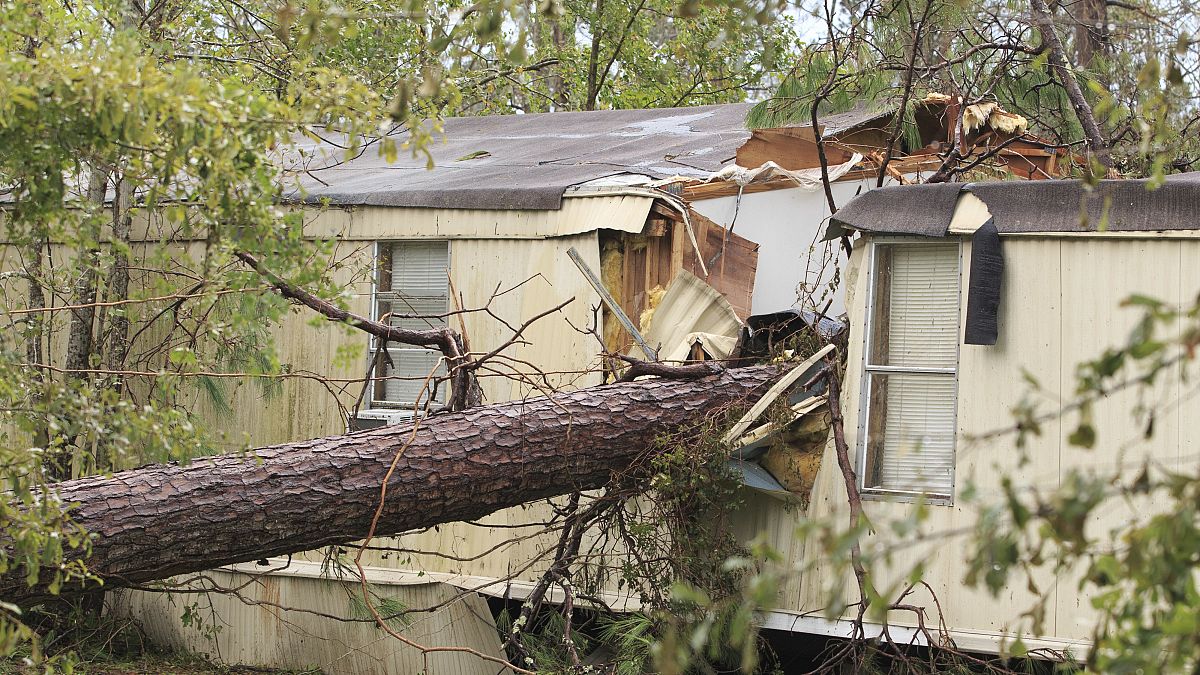 ABD'de kasırga: 5 kişi ağaçların evlerinin üzerine devrilmesi sonucu öldü