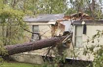 ABD'de kasırga: 5 kişi ağaçların evlerinin üzerine devrilmesi sonucu öldü