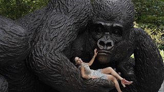 Gar nicht bedrohlich: Riesen-Gorilla in Manhattan