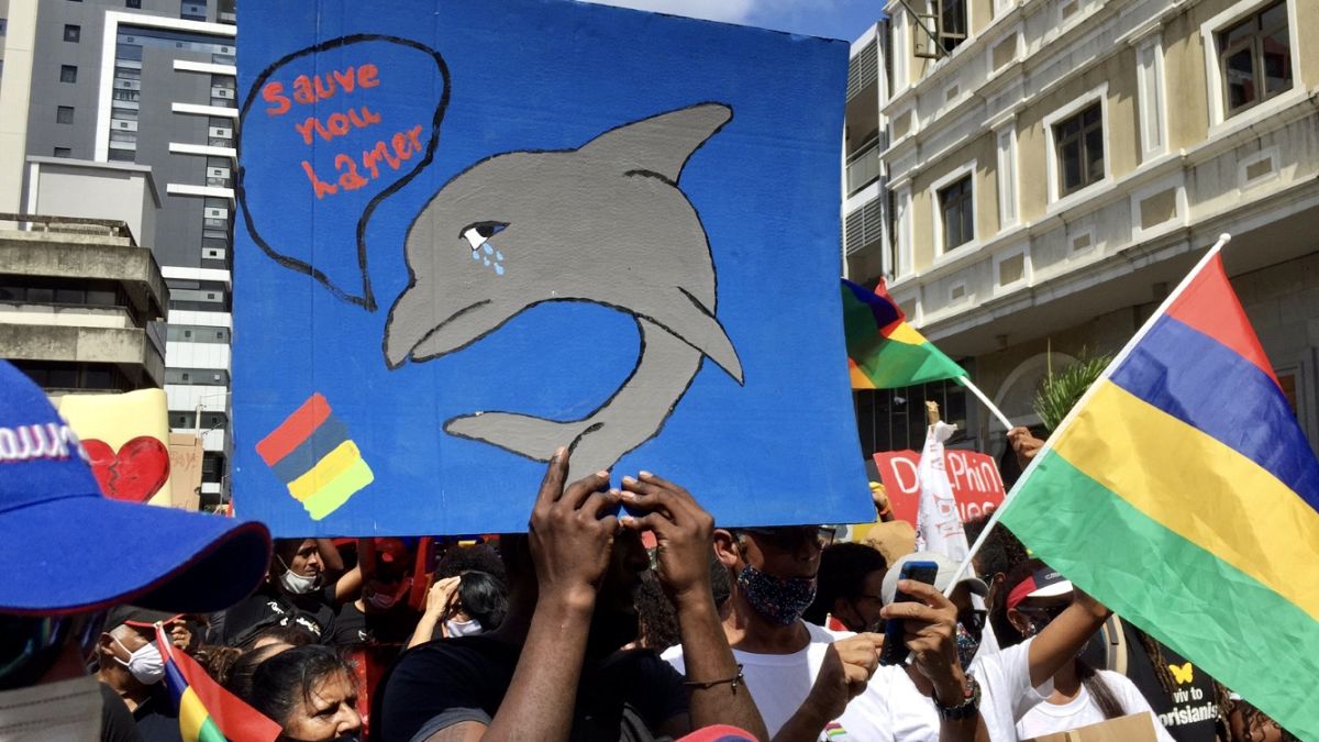 Hangos tiltakozás a delfinek tömeges pusztulása miatt Mauritiuson