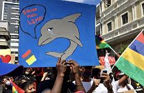Hangos tiltakozás a delfinek tömeges pusztulása miatt Mauritiuson