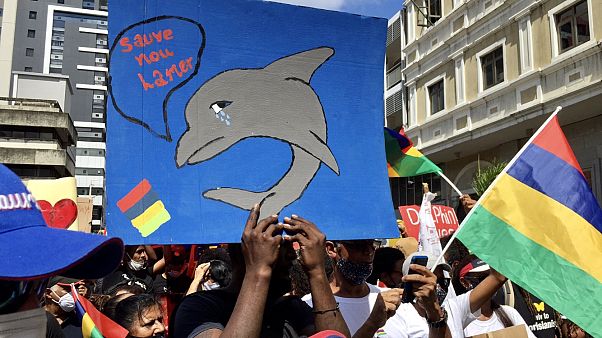 Hangos tiltakozás a delfinek tömeges pusztulása miatt Mauritiuson Hangos tiltakozás a delfinek tömeges pusztulása miatt Mauritiuson