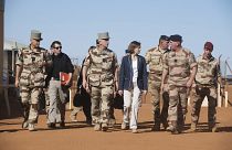 File photo of Defence Minister Florence Parly with troops in Mali. 