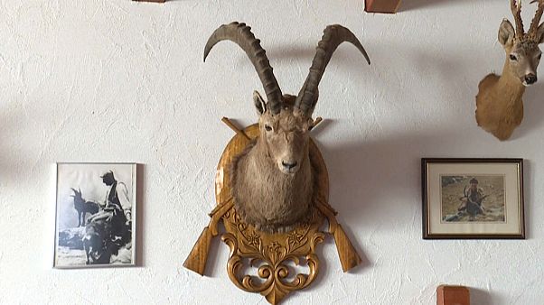 Jagdtrophäe Jagdtrophäe