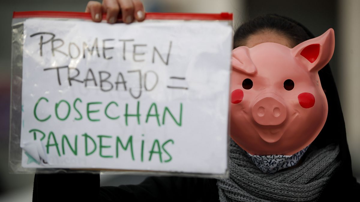Una joven animalista protesta mientras lleva un cartel con el eslogan "Prometen trabajo = Cosechan pandemia" 