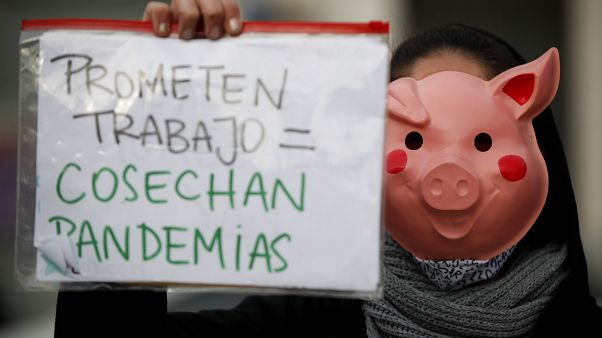 Una joven animalista protesta mientras lleva un cartel con el eslogan "Prometen trabajo = Cosechan pandemia" Una joven animalista protesta mientras lleva un cartel con el eslogan "Prometen trabajo = Cosechan pandemia"
