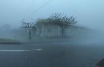 طوفان «مای‌ساک» جنوب ژاپن را در نوردید؛ ۴۰ درصد پروازها لغو شد