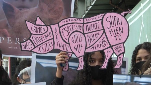 In Buenos Aires haben hunderte Menschen gegen Schweinefabriken protestiert In Buenos Aires haben hunderte Menschen gegen Schweinefabriken protestiert