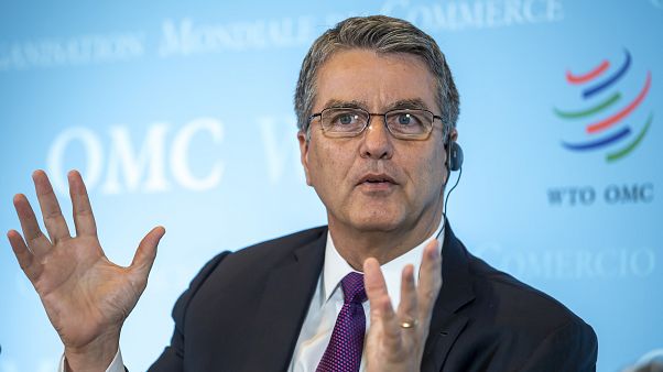 A WTO vezetője A WTO vezetője