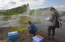 'Virus hunters' explore Iceland's geothermal hot springs for solutions