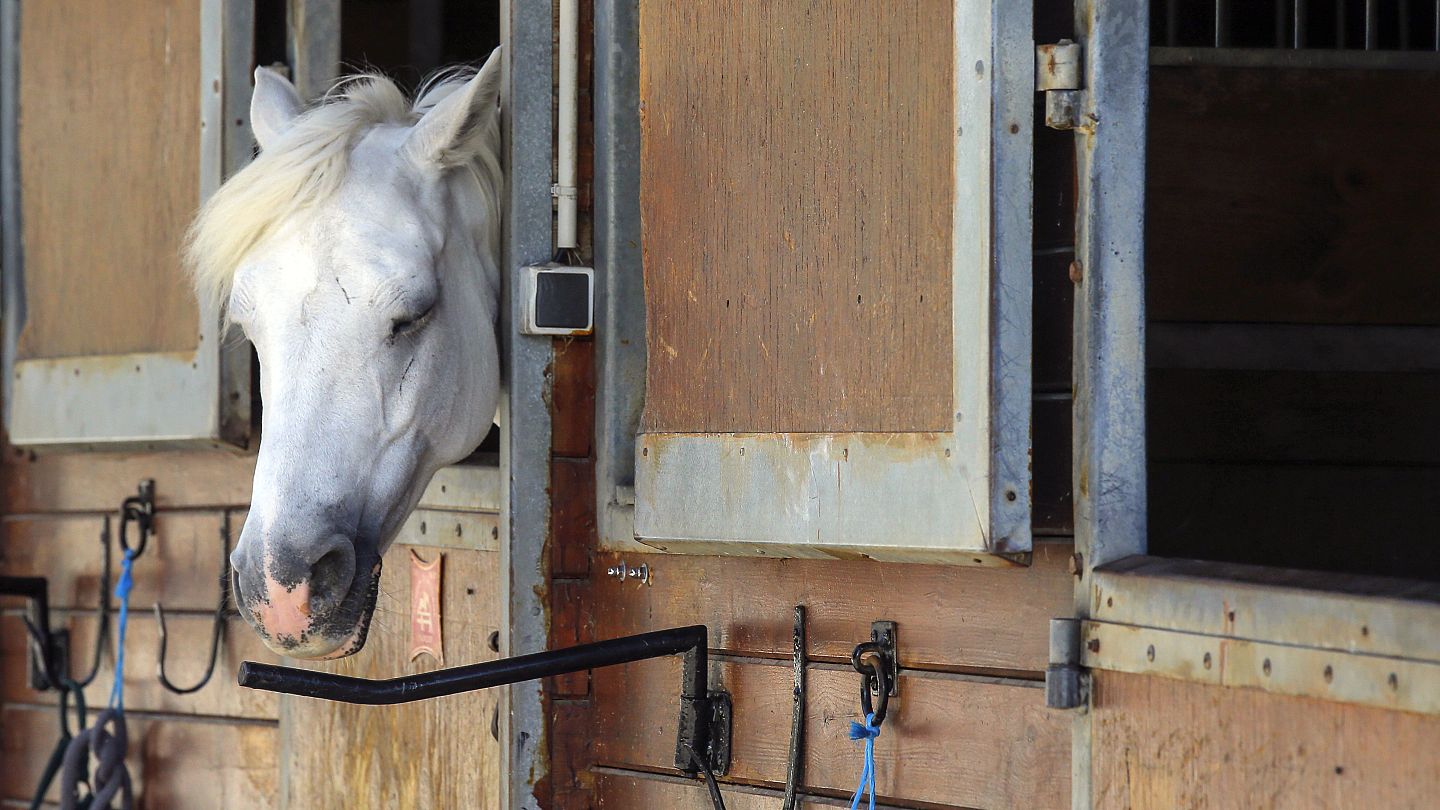 Caballos Diabólicos en la Francesa - Ajedrez Romántico 