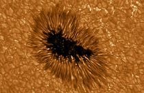 A sunspot observed in high resolution by the GREGOR telescope at the wavelength 430 nm.