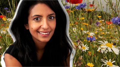 “Parents want their kids to be taught about the environment, but in a more immersive way,” says Konnie Huq. “Parents want their kids to be taught about the environment, but in a more immersive way,” says Konnie Huq.