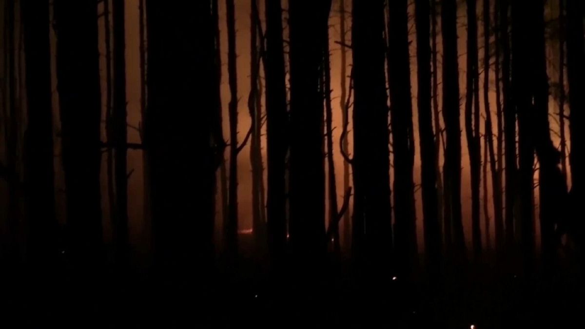 Пожары в Ростовской области