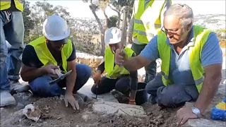 Израильские археологи нашли библейский дворец