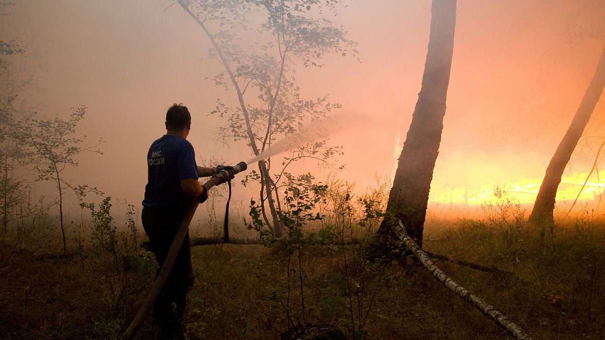 Тушение лесного пожара в России, 2010