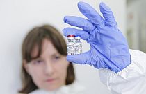 Russia Aug. 6, 2020, and provided by Russian Direct Investment Fund, an employee shows a new vaccine at the Nikolai Gamaleya National Center of Epidemiology and Microbiology