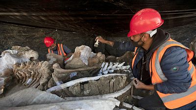 Esqueletos de mamutes encontrados nas obras de aeroporto mexicano