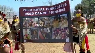 Afrique du Sud : La danse des roseaux des Zoulous fortement réduite