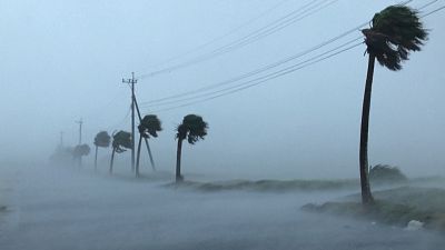 شاهد: إعصار هايشن يضرب جزر اليابان الجنوبية ويتسبب بأضرار بشرية ومادية