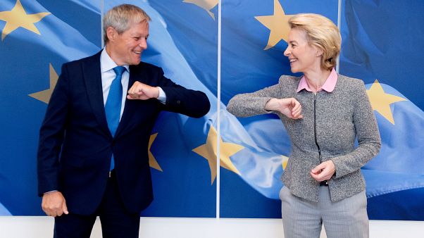 European Commission - visits received, European Parliament - member European Commission - visits received, European Parliament - member