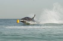 Cosa si prova a guidare uno squalo a motore? 