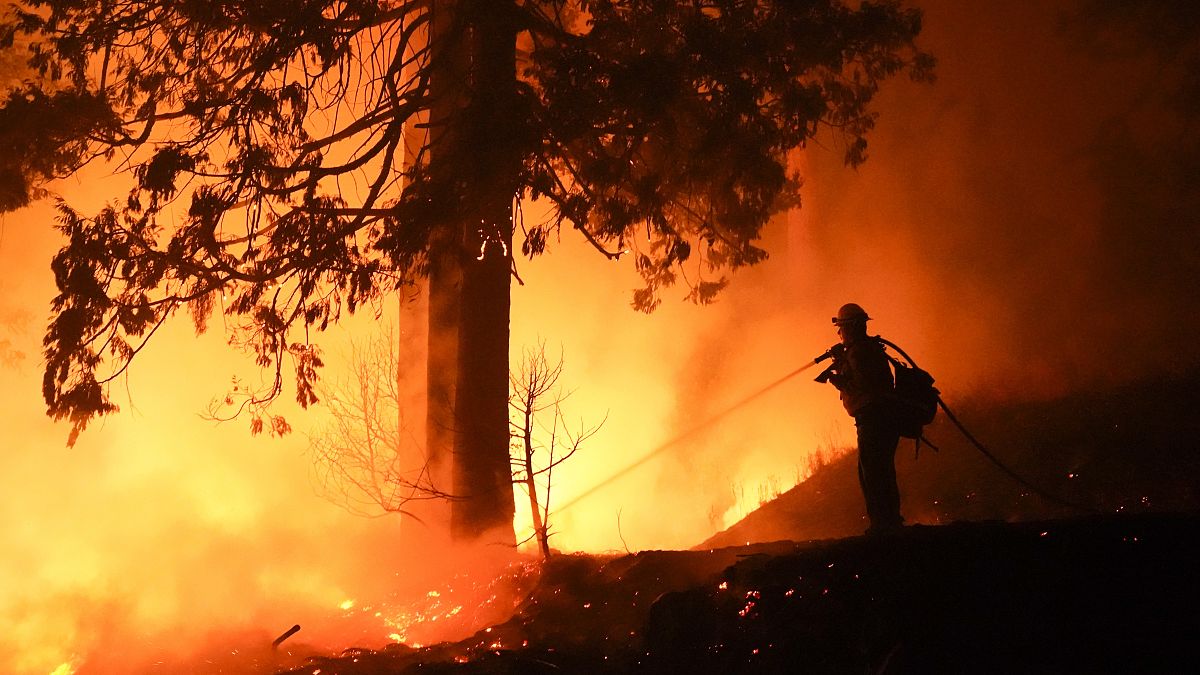 Kaliforniya eyaletinde orman yangını