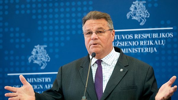 Litvanya Dışişleri Bakanı Linas Linkevicius Litvanya Dışişleri Bakanı Linas Linkevicius