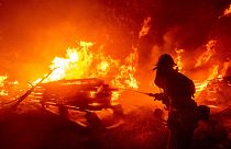 Más de 36.000 hectáreas quemadas y 2.500 evacuados por los incendios en California