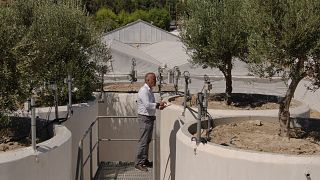 A alta tecnologia chegou aos olivais de Creta