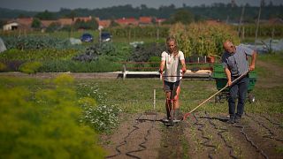 La UE busca restaurar el 70% de las tierras agrícolas para 2030