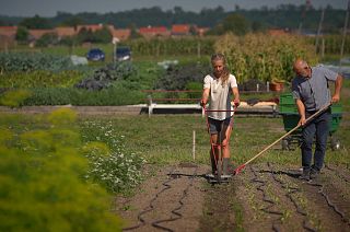 On a mission to save our soils - the EU's plan to rebuild the land