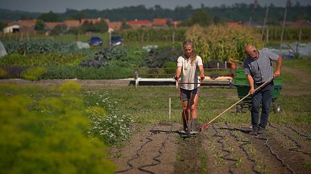 On a mission to save our soils - the EU's plan to rebuild the land