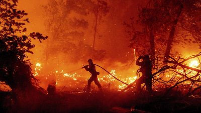 ABD'de orman yangınları: Bu yıl 800 bin hektardan fazla alan yandı